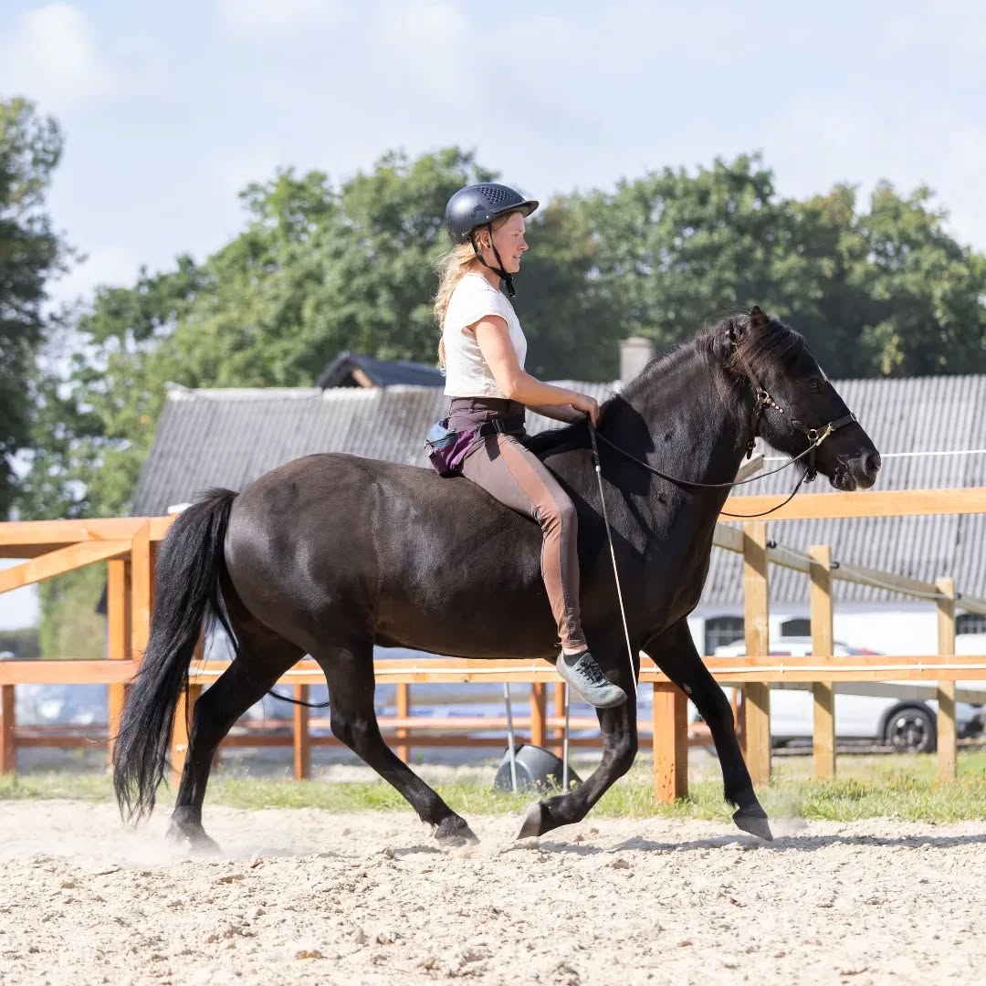 Osteopati og ridesport
