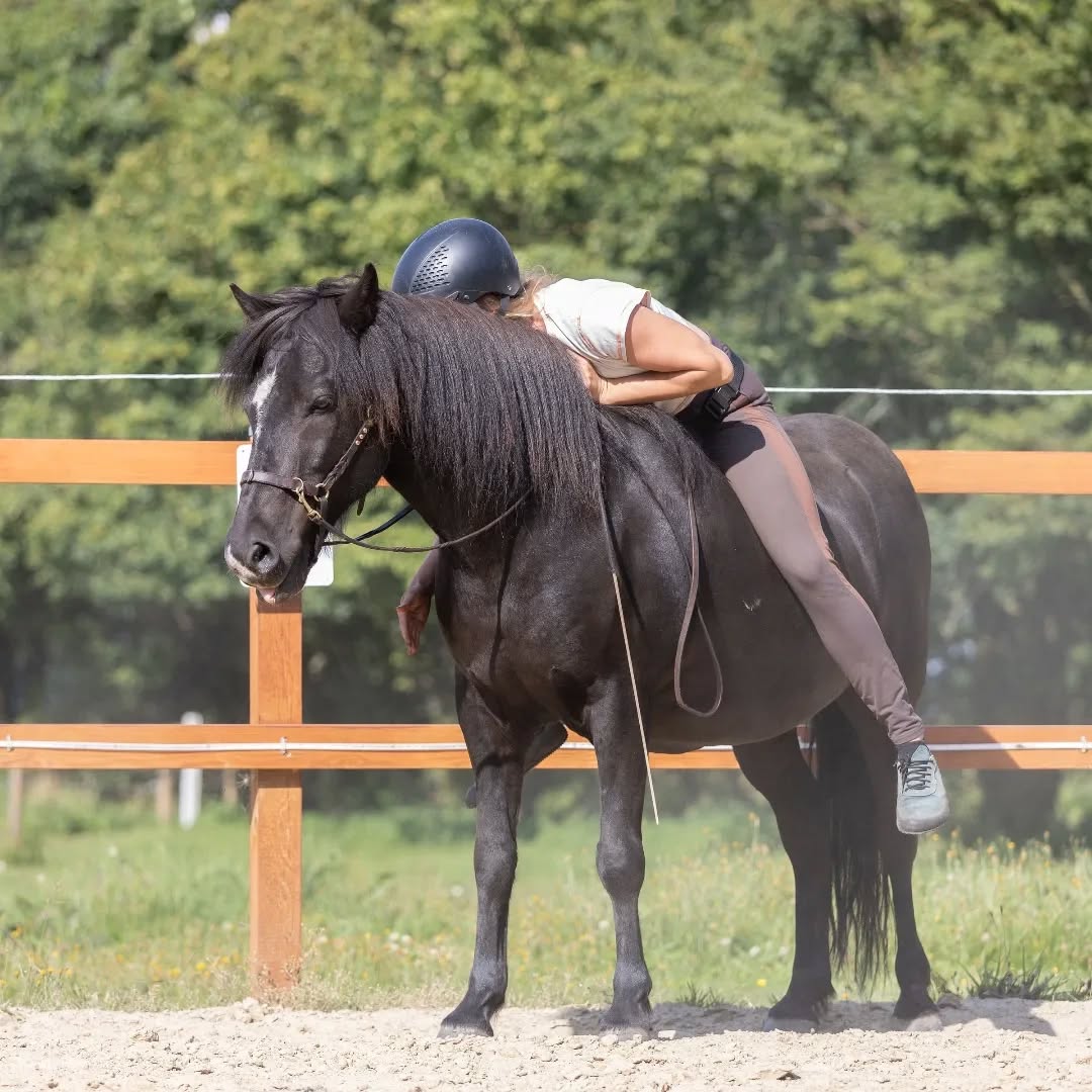 Osteopati og ridesport
