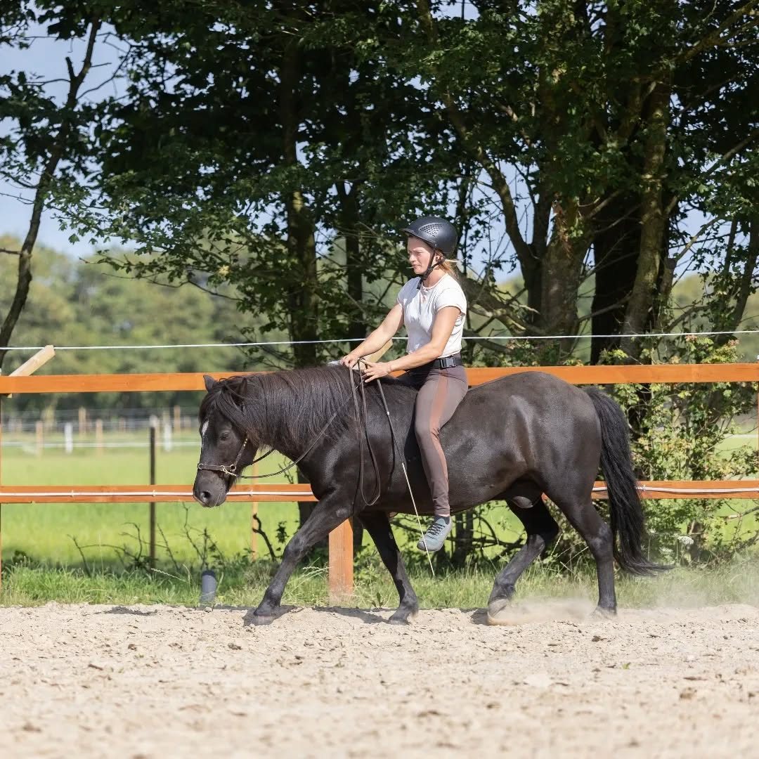 Osteopati og ridesport